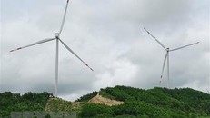 Cần có chính sách, cơ chế thích hợp để phát triển Hydrogen Xanh