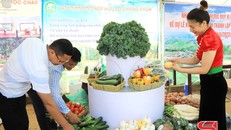 Trưng bày sản phẩm đặc trưng của huyện Vân Hồ tại dịp kỷ niệm 10 năm thành lập huyện.