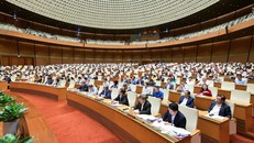 Quan cảnh phiên họp sáng 7/11.