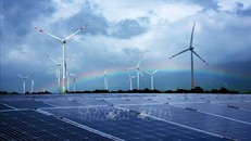 Việt Nam tích cực, chủ động triển khai các cam kết tại COP26