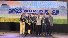 Các đại diện của 3 doanh nghiệp Việt Nam cùng nhận Cúp giải nhất Gạo ngon nhất thế giới năm 2023.