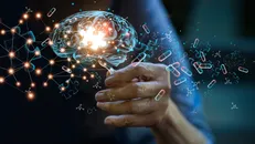 5 nhà khoa học Việt Nam vào bảng xếp hạng ngôi sao khoa học đang lên năm 2023