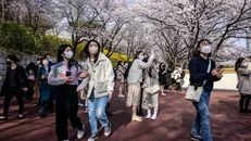 Hàn Quốc sẽ miễn phí thị thực điện tử theo đoàn cho Việt Nam trong năm 2024