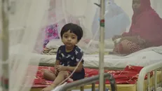 Sốt xuất huyết xuất hiện tại các nước chưa từng bị ảnh hưởng trước đây