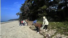 Huyện đảo Cô Tô hướng tới khu du lịch không rác thải nhựa