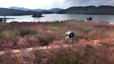 Năm Du lịch Quốc gia 2024 hướng du khách tới những “Trải nghiệm bất tận”