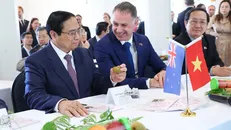 Thủ tướng kỳ vọng đột phá hợp tác kinh tế nông nghiệp với New Zealand