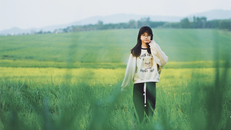 Đồng cỏ rộng hàng ngàn ha mãn nhãn ở Nghệ An “đốn tim” du khách