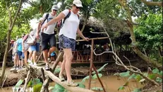 Tiền Giang: Liên kết du lịch nông nghiệp để phát triển bền vững