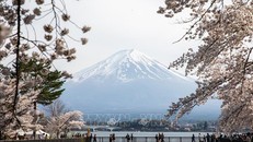 Tránh rủi ro khi xin cấp visa du lịch Nhật Bản mùa cao điểm