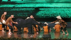 Tổ chức Liên hoan Múa rối quốc tế - 2024 tại Hà Nội