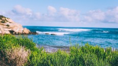 Ngày Đại dương thế giới 8/6: “Hiểu biết sâu sắc hơn về đại dương”