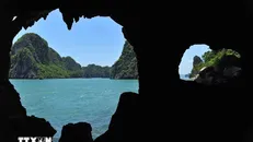 Di sản Thiên nhiên Thế giới Vịnh Hạ Long mang những giá trị đặc biệt về địa chất, địa mạo có một không hai trên thế giới là điểm đến thu hút khách quốc tế. Ảnh: Minh Đức/TTXVN.