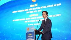 Thứ trưởng Bộ Ngoại giao Đỗ Hùng Việt phát biểu.