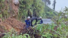 Băng rừng để khắc phục hạ tầng viễn thông.