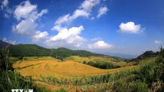 Ruộng bậc thang trải dài trên các sườn đồi của xã Miền Đồi (huyện Lạc Sơn, Hòa Bình).