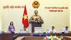 Phó Chủ tịch Quốc hội Nguyễn Thị Thanh điều hành phiên họp. Ảnh: Doãn Tấn/TTXVN.