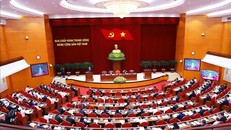 Hội nghị Ban Chấp hành Trung ương Đảng khóa XIII, ngày 25/11. Ảnh: Dương Giang/TTXVN.