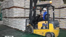 Xuất khẩu gạo Việt Nam vượt 8 triệu tấn