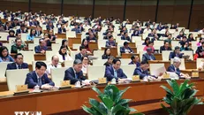 Đại biểu Quốc hội biểu quyết thông qua các luật và nghị quyết. Ảnh: Văn Điệp/TTXVN.