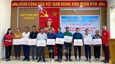 Hỗ trợ 30 hộ ngư dân ở 3 xã của huyện Vân Đồn khắc phục hậu quả do bão số 3 gây ra. Ảnh: TTXVN.