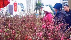 Hà Nội: Thông báo lịch nghỉ Tết và các ngày lễ lớn năm 2025