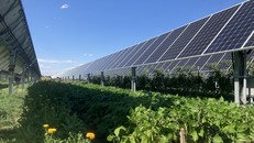 Gia tăng xu hướng sử dụng đèn năng lượng mặt trời tại nông thôn