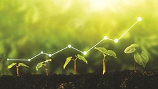 Tiềm năng to lớn cho đầu tư xã hội trong lộ trình chuyển đổi xanh