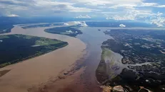 Sông Amazon tại Manaus, bang Amazonas, Brazil.