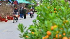 Người dân tham quan, mua sắm tại chợ hoa Tết ở Hà Giang. Ảnh: Nam Thái/TTXVN.