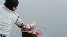 Thả cá chép, tiễn ông Công, ông Táo