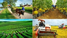 Thống kê, biên soạn số liệu GDP kinh tế tập thể