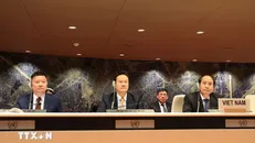 Đại sứ Mai Phan Dũng - Trưởng phái đoàn Việt Nam tại Geneva (giữa), cùng với Thứ trưởng Bộ Nội vụ Nguyễn Văn Hồi (bên phải) và thành viên trong đoàn. Ảnh: Anh Hiển/TTXVN