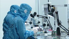 Sản xuất camera tại Công ty TNHH Sunny Opotech Việt Nam tại Khu công nghiệp Yên Bình. Ảnh: Hoàng Nguyên/TTXVN.