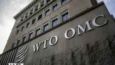 Trụ sở Tổ chức Thương mại Thế giới (WTO) tại Geneva (Thụy Sĩ).