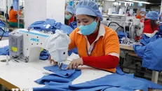 May hàng xuất khẩu sang thị trường Nhật Bản tại Công ty may Hưng Việt, Phố Nối (Hưng Yên). Ảnh: Trần Việt/TTXVN.