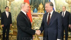 Tổng Bí thư Tô Lâm hội đàm hẹp với Tổng thống Nga Vladimir Putin. Ảnh: Thống Nhất/TTXVN