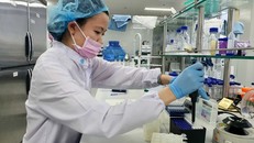 Làm chủ công nghệ sản xuất 15 loại vaccine cho tiêm chủng vào năm 2030