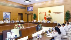 Ủy ban Thường vụ Quốc hội cho ý kiến về Nghị quyết của Quốc hội và các luật. Ảnh: Doãn Tấn/TTXVN.