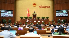 Toàn cảnh Phiên họp