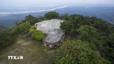 Vườn Quốc gia Ba Vì. Ảnh: TTXVN.