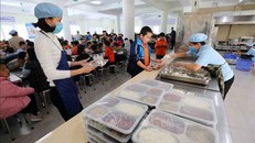 Hà Nội đảm bảo an toàn bữa ăn bán trú cho học sinh. Ảnh tư liệu: Thanh Tùng/TTXVN.