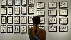 Đông đảo công chúng trong và ngoài nước quan tâm đến nghệ thuật hội họa và công tác bảo tồn thiên nhiên hoang dã tại triển lãm.