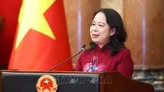 Phó Chủ tịch nước gặp mặt đại biểu tham gia Diễn đàn Trí thức trẻ Việt Nam toàn cầu lần thứ VI