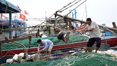 Thủ tướng yêu cầu khẩn trương triển khai ứng phó khẩn cấp với bão số 3