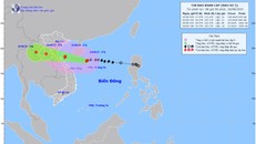 Bản đồ dự báo quỹ đạo và cường độ bão số 5 lúc 8 giờ ngày 24/8/2025.