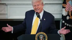 Tổng thống Mỹ Donald Trump.