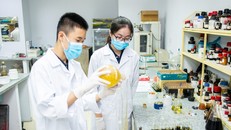 Cần đặt mục tiêu hiện đại hóa các trường đại học và phát triển các viện nghiên cứu, nhóm nghiên cứu mạnh.