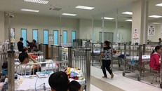 Hà Nội ghi nhận gần 400 ca mắc sốt xuất huyết trong tuần qua
