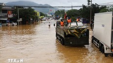 Lực lượng quân đội cùng phương tiện tham gia hỗ trợ ứng cứu người dân vùng ngập lụt tỉnh Khánh Hòa. Ảnh: Xuân Triệu/TTXVN.